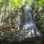 酒店 Tisa Pohorje 霍茨科波霍尔耶