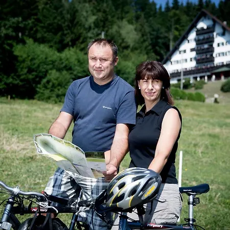 Tisa Pohorje 3*