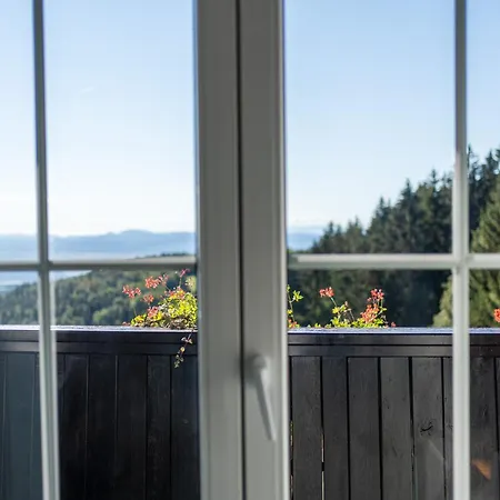 Tisa Pohorje ホテル ホコ・ポホリェ