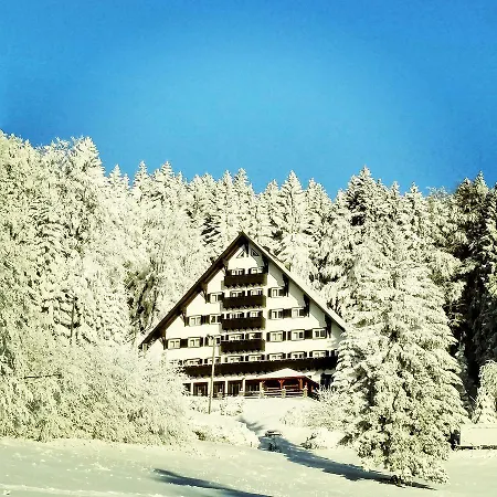 Tisa Pohorje 3*