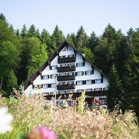 Tisa Pohorje 3* Hocko Pohorje