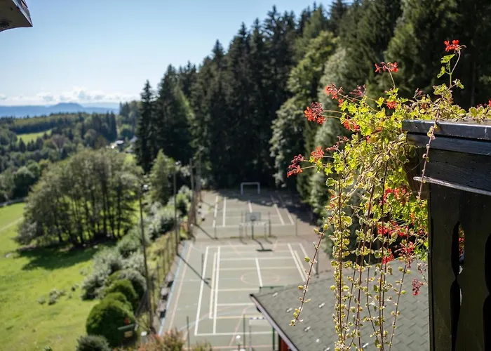 Tisa Pohorje Hotel 3*