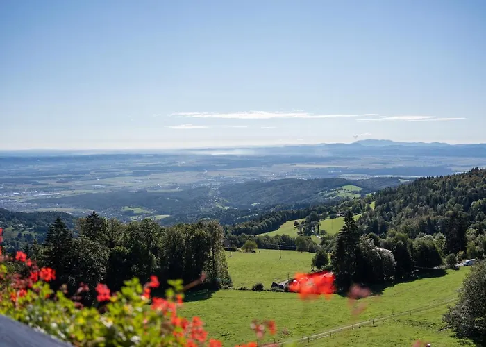 Tisa Pohorje 3* Hočko Pohorje