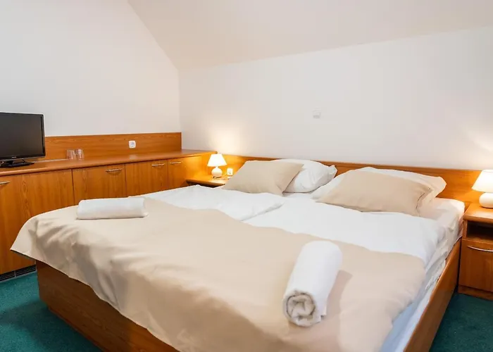 ホテル Tisa Pohorje 3*