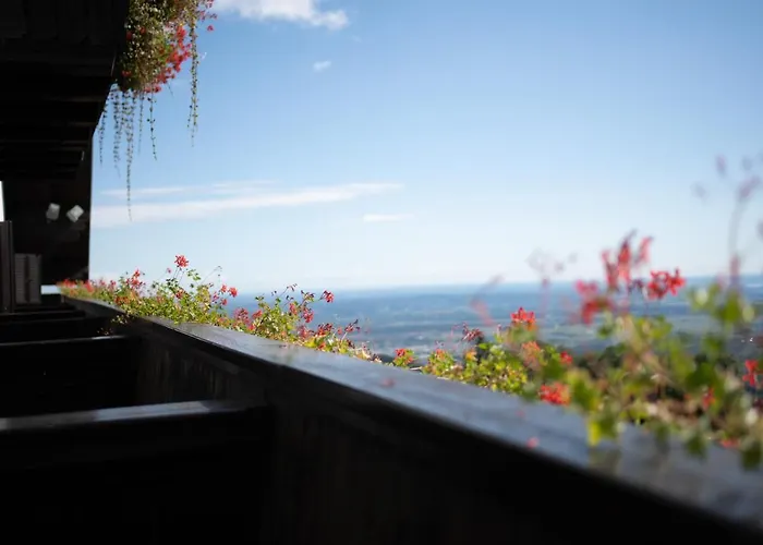 Tisa Pohorje 3* ホコ・ポホリェ