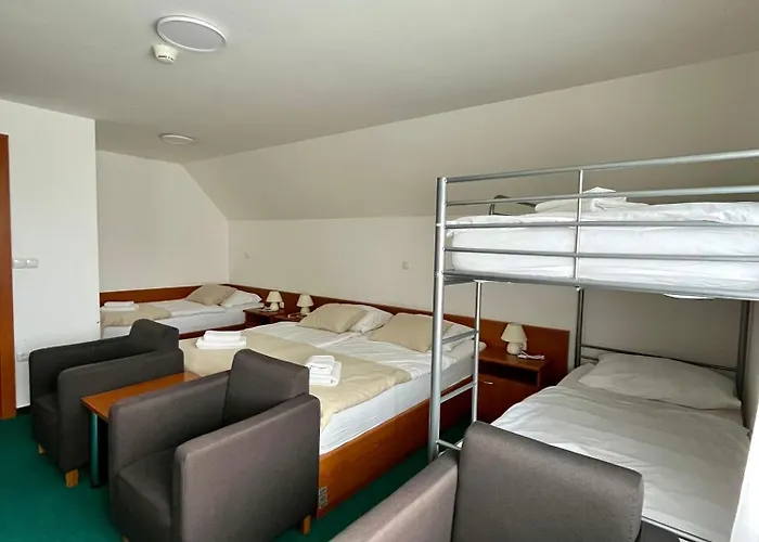 ホテル Tisa Pohorje ホコ・ポホリェ