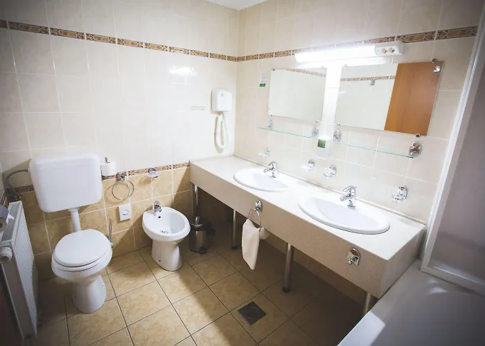 ホテル Tisa Pohorje ホコ・ポホリェ