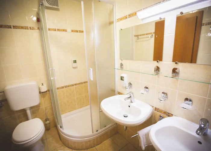 ホテル Tisa Pohorje 3*