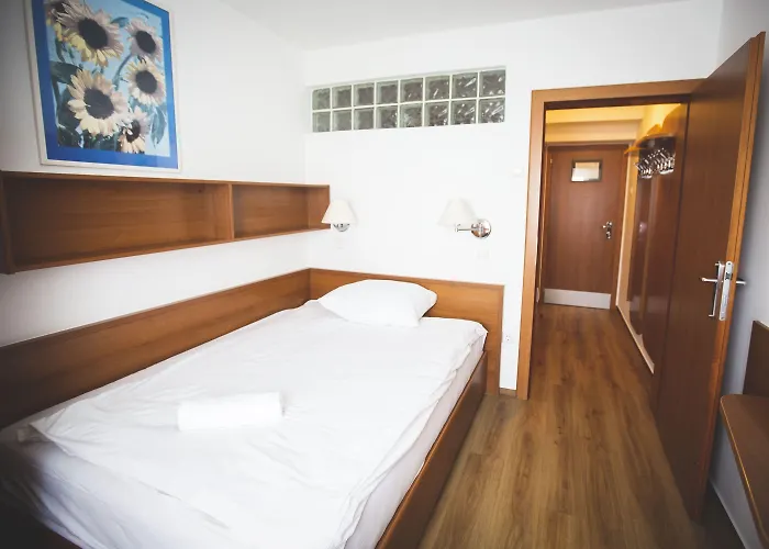 Tisa Pohorje Hočko Pohorje