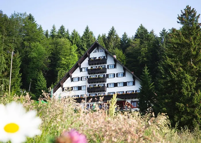 Tisa Pohorje 3* ホコ・ポホリェ